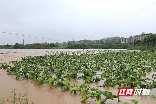 安仁县有什么疫情地区_安仁有疫情了吗