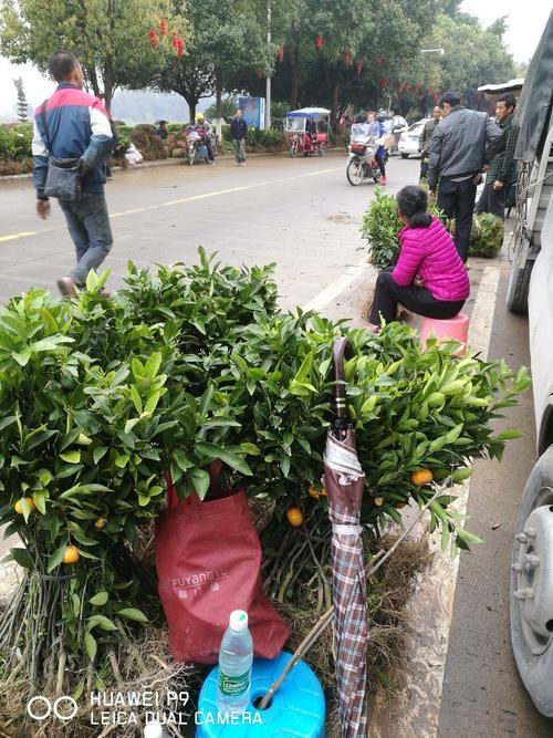 广西壮族自治区桂林荔浦疫情最新实数据_桂林荔浦属于哪个区