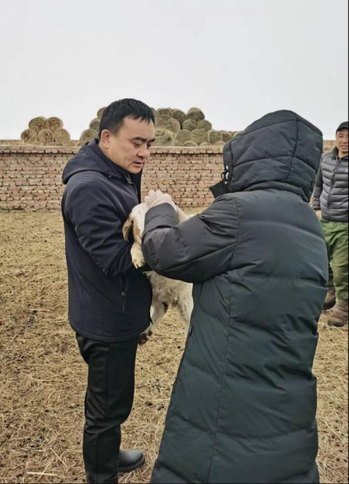 【陈巴尔虎旗各地区疫情等级,陈巴尔虎旗防疫站电话】