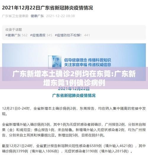 2地新增确诊22例含本土7例/新增2例本土确诊病例
