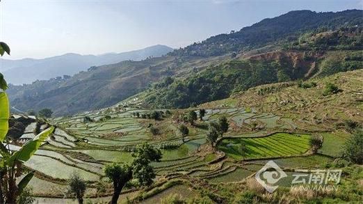 【新增疫情关注云南玉溪元江哈尼族彝族傣族自治县,玉溪元江新闻最新】