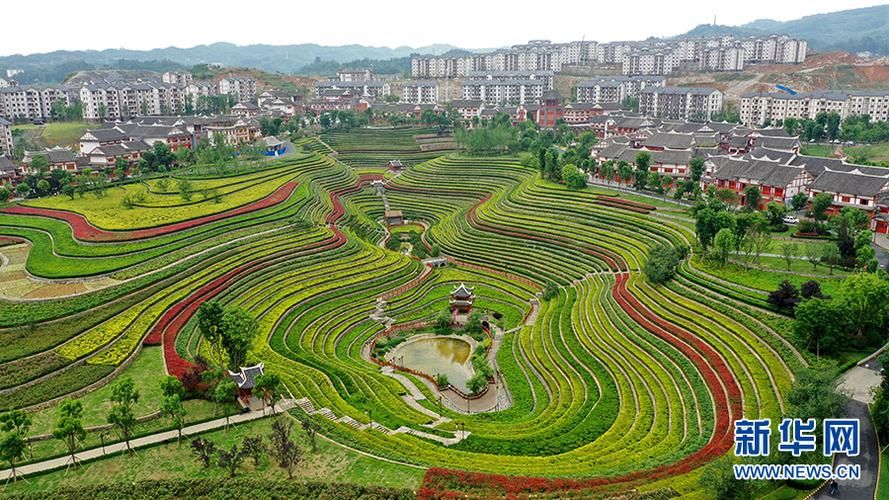 贵州省毕节市大方县疫情最新消疫情况_毕节大方区号是多少