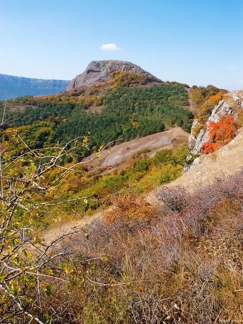 【发现黑龙江省齐齐哈尔市碾子山区1名密接者!_齐齐哈尔6例密接】