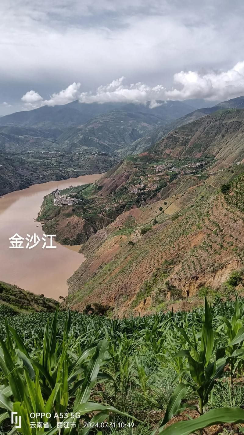云南丽江永胜县地区有没有发现疫情:今日丽江永胜县头条新新闻