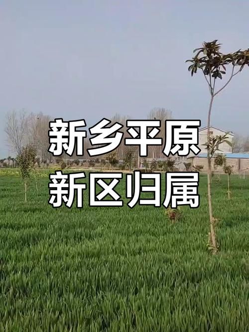 【发现1名密接者!新乡市平原城乡一体化示范区_新乡平原示范区突发事件】