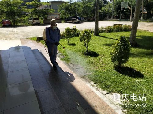 【疫情防控中风险地区!海南儋州和庆镇_儋州市和庆镇街186号】