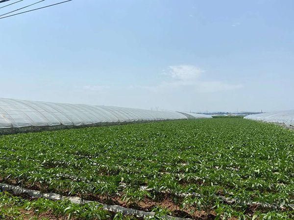 【山西省长治市长子县疫情防控中风险地区,山西长子县属于哪个区】