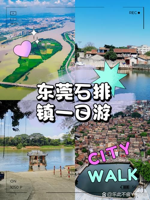 【疫情分布图最新广东省东莞市石排镇,东莞石排有疫情病例吗】