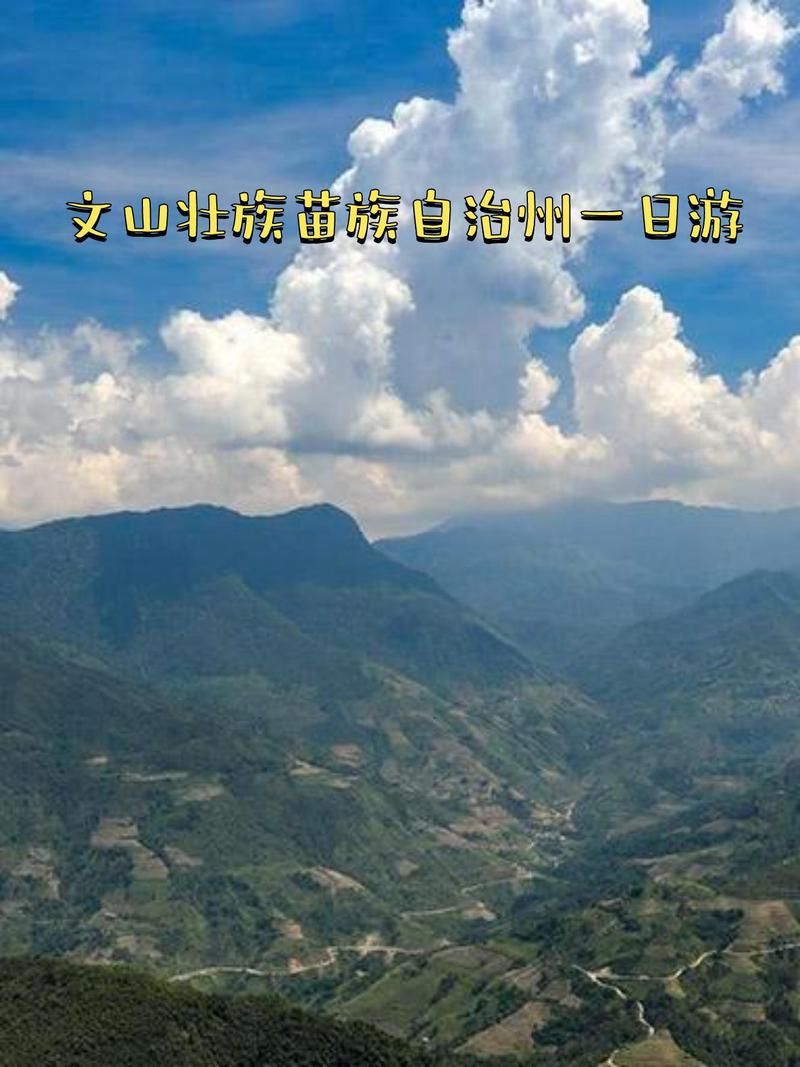 云南文山壮族苗族自治州麻栗坡县最新疫情临床:文山麻栗坡死亡5人