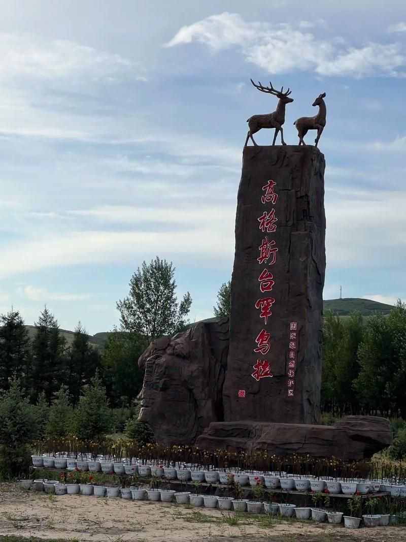 内蒙古自治区赤峰阿鲁科尔沁旗算是疫情风险地区吗/赤峰市阿鲁科尔沁旗疫情防控指挥部