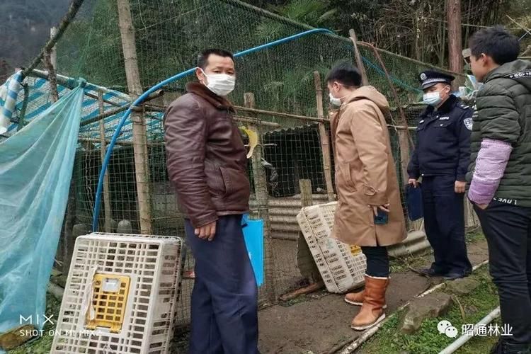 疫情大关县最新情况_疫情大关县最新情况通报