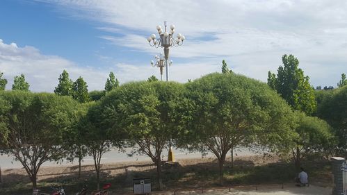 关于新疆维吾尔自治区喀什地区麦盖提县新增8例无症状感染者,涉及香坊区的信息