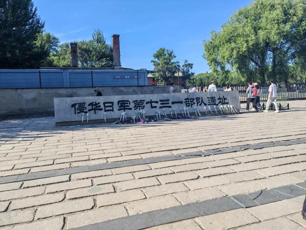 最新疫情黑龙江省哈尔滨市平房区_哈尔滨平房区疫情最新消息哈哈