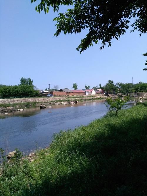 全国新增本土确诊4例河南信阳平桥区4例(信阳市平桥区疫情最新消息今天)