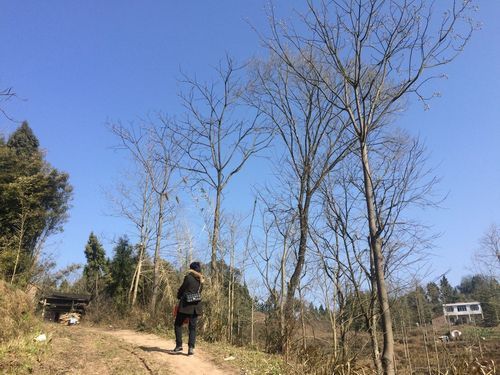 【发现开江县1名密接者!_开江最新发布】