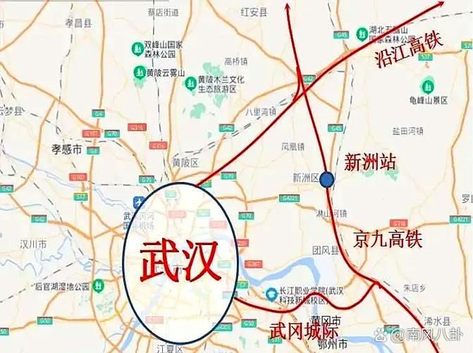 新洲区累计报告死亡病例14例_新洲区疫情防控指挥部通告