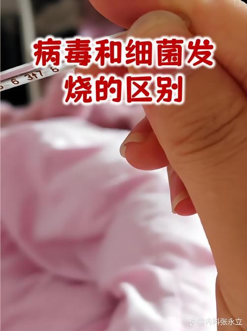  福建省宁德市周宁县地区有没有发现疫情:福建省宁德市周宁县新型冠状病毒