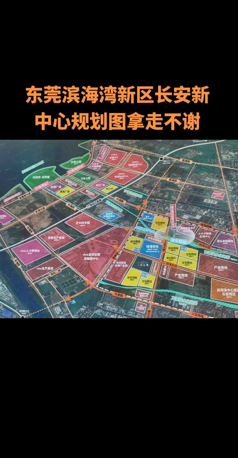 东莞滨海湾新区算是疫情风险地区吗/东莞滨海湾新区指的是哪里