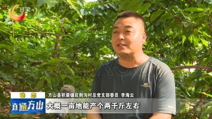 【方山县疫情还在新增吗今天,方山有疫情吗】