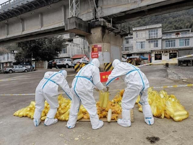 【疫情防控中风险地区广西壮族自治区百色市德保县,百色市德保县区县编码更新了吗】
