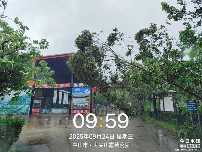 【查找最新疫情五桂山街道,五桂山街道人民政府官网网站】