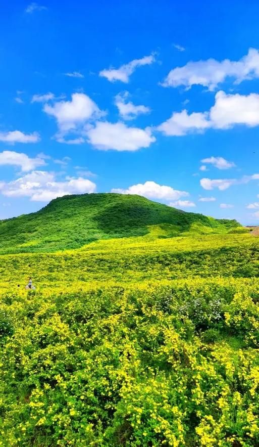 【积石山保安族东乡族撒拉族自治县疫情风险地区划分,积石山保安族东乡族撒拉族自治县成立时间】
