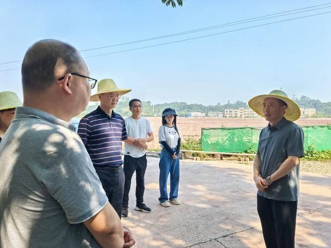  查找四川省乐山市井研县最新疫情:乐山井研新闻头条