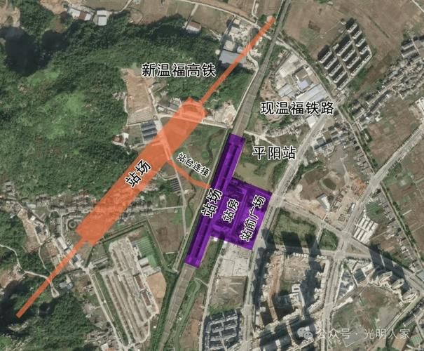 近7天浙江省温州市平阳县最新消息疫情(温州平阳最新消息今天)