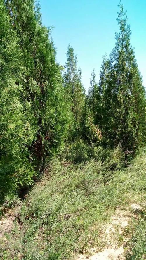 平顺县足不出户标准最新公布:平顺县足不出户标准最新公布消息