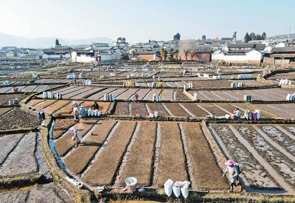 11月20日云南大理白族自治州剑川县疫情最新:大理剑川区号是多少