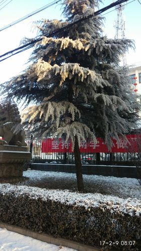 湖南衡阳珠晖区疫情还在新增吗今天/湖南省衡阳市珠晖区最新天气