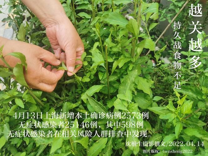 31省区市新增重症10例普宁13例/乙肝患者可以吃茄子吗