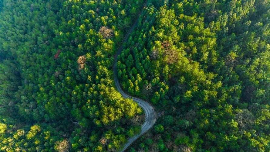  重庆开州区疫情防控中风险地区:开州区最新政策解读