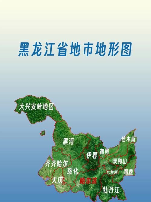 【黑龙江省鹤岗市疫情足不出户最新消息_黑龙江省鹤岗市地形图】