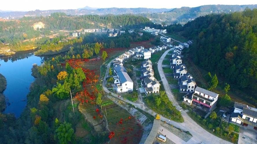 疫情四川省巴中市恩阳区最新通知(四川巴中恩阳头条新闻)