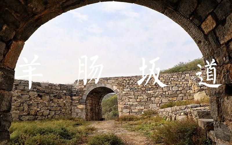 河南省焦作市沁阳市昨日最新消息疫情/焦作沁阳区号是多少