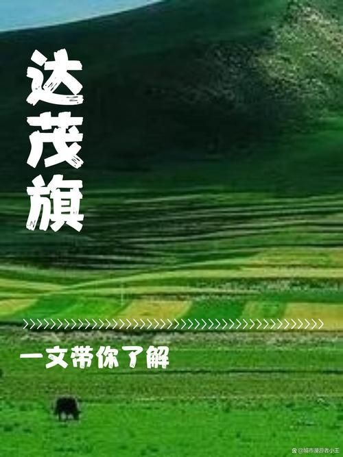 达尔罕茂明安联合旗最新疫情情况通报:达尔罕茂明安联合旗15天预报