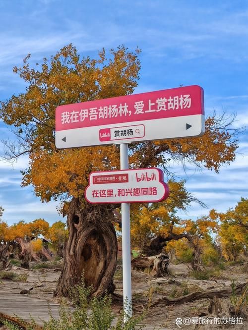 【新疆维吾尔自治区哈密市伊吾县疫情怎么查风险地区_哈密伊吾县热吗2026】