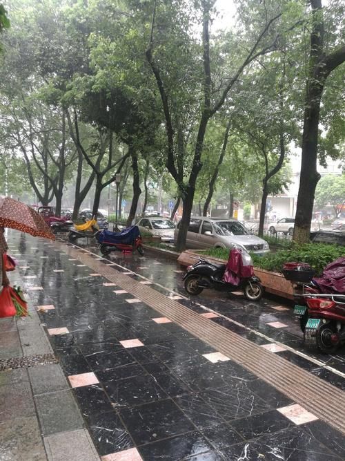  近期广西壮族自治区桂林市七星区疫情最新:广西桂林七星区最新图