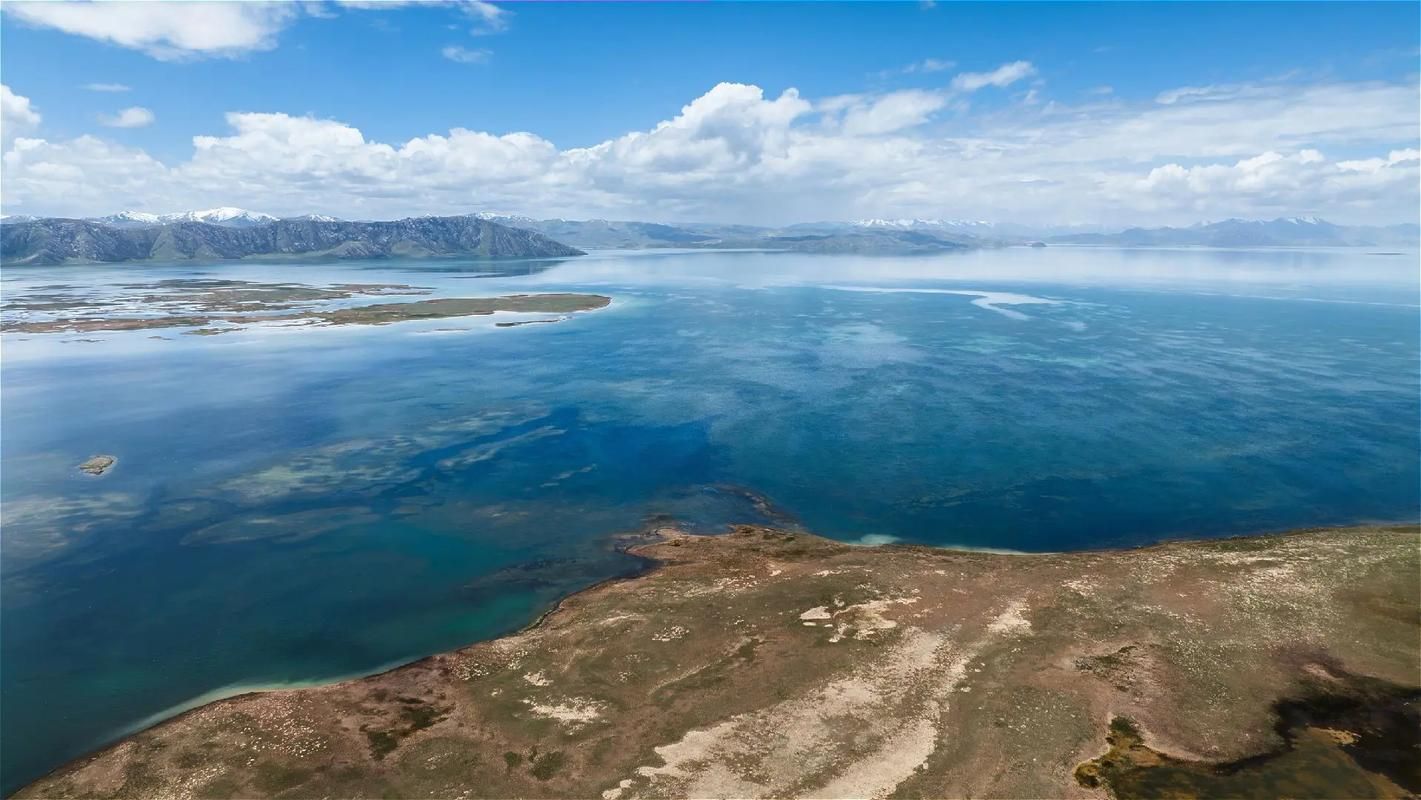 山西运城盐湖区新增27例重症，涉及青海海西蒙古族藏族自治州/山西运城盐湖区这两天发生地震了吗