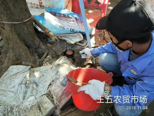 【海南儋州王五镇各地区疫情等级_儋州拟发放王五镇外出务工奖补】