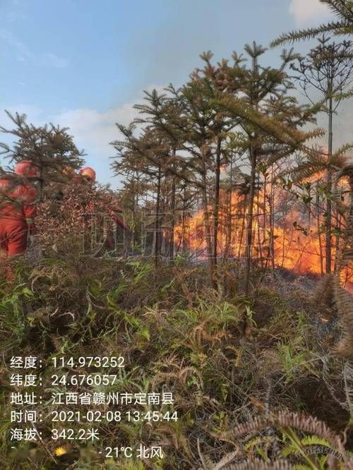 疫情防控中风险地区江西省赣州市信丰县/江西省赣州市信丰县公安局防诈中心