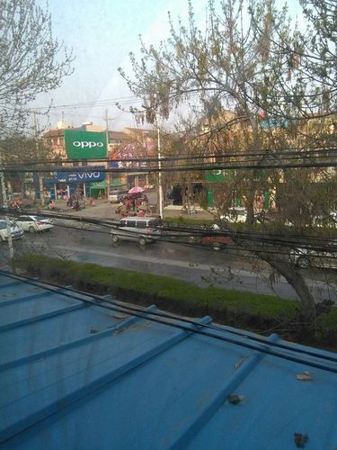 河南省安阳市内黄县地区有没有发现疫情/河南省安阳市内黄县有几个乡镇