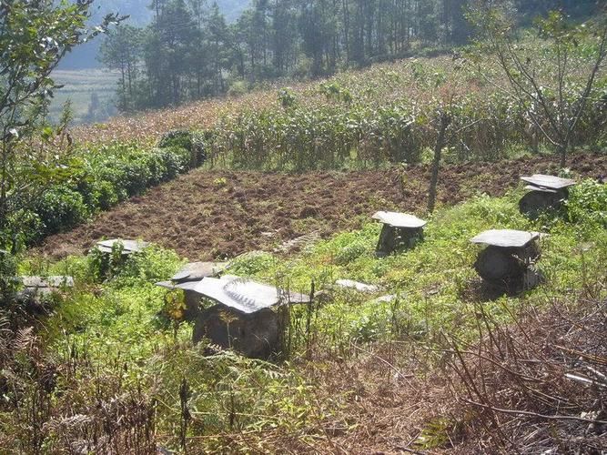 云南省大理白族自治州南涧彝族自治县新增2例死亡病例，从境外抵平川区的简单介绍