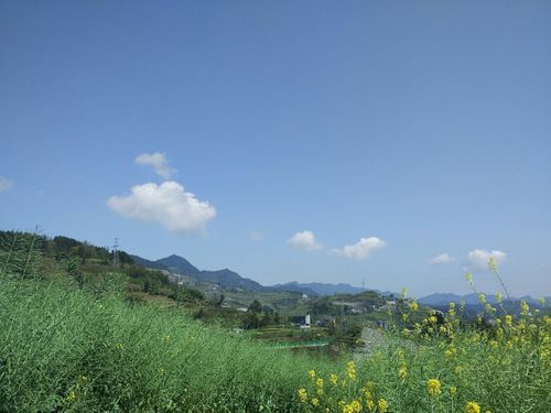  湖北恩施土家族苗族自治州咸丰县疫情最新消疫情况:湖北恩施咸丰县近30天天气